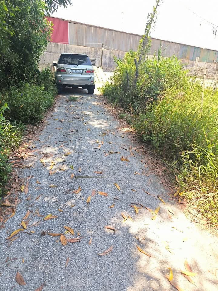 Đất Thị Trấn La Hà 54m² giá 295 triệu - Cơ hội đầu tư tuyệt vời!