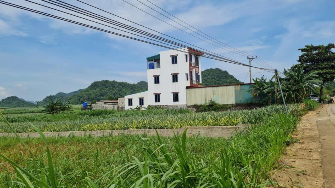 Đất nền Phú Long Ninh Bình 300m² - Giá đầu tư hấp dẫn!