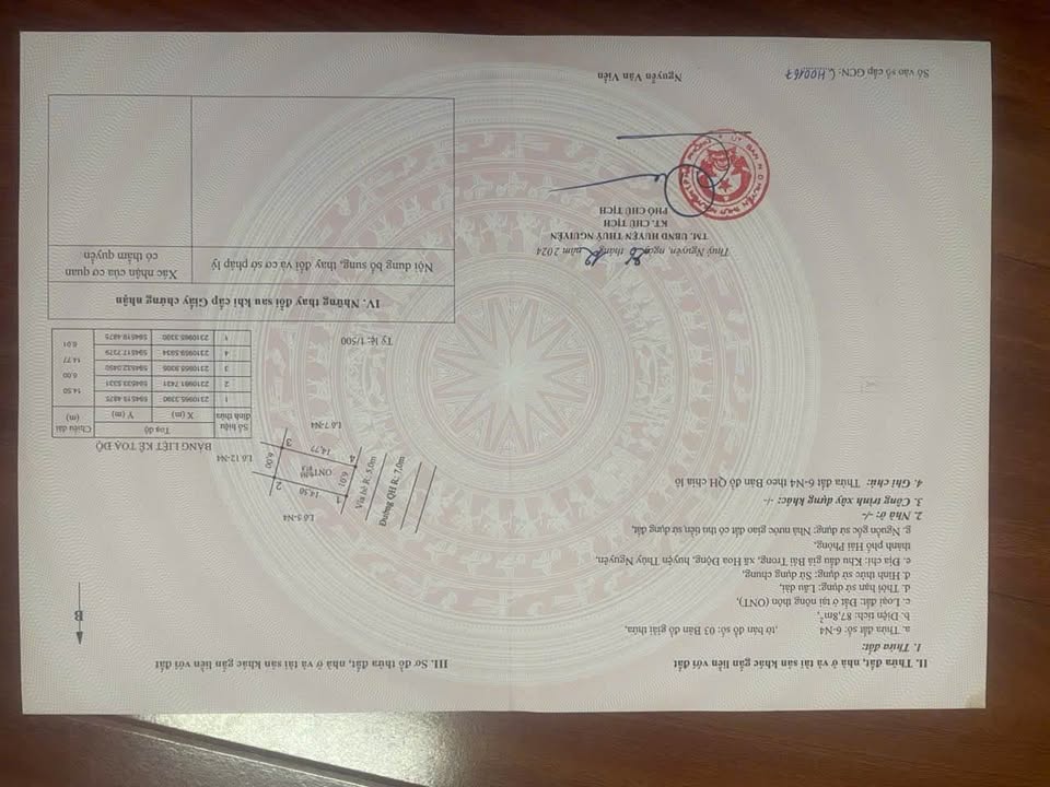 Đất nền Hoa Động Thủy Nguyên 87m² giá đầu tư - Sổ hồng chính chủ!