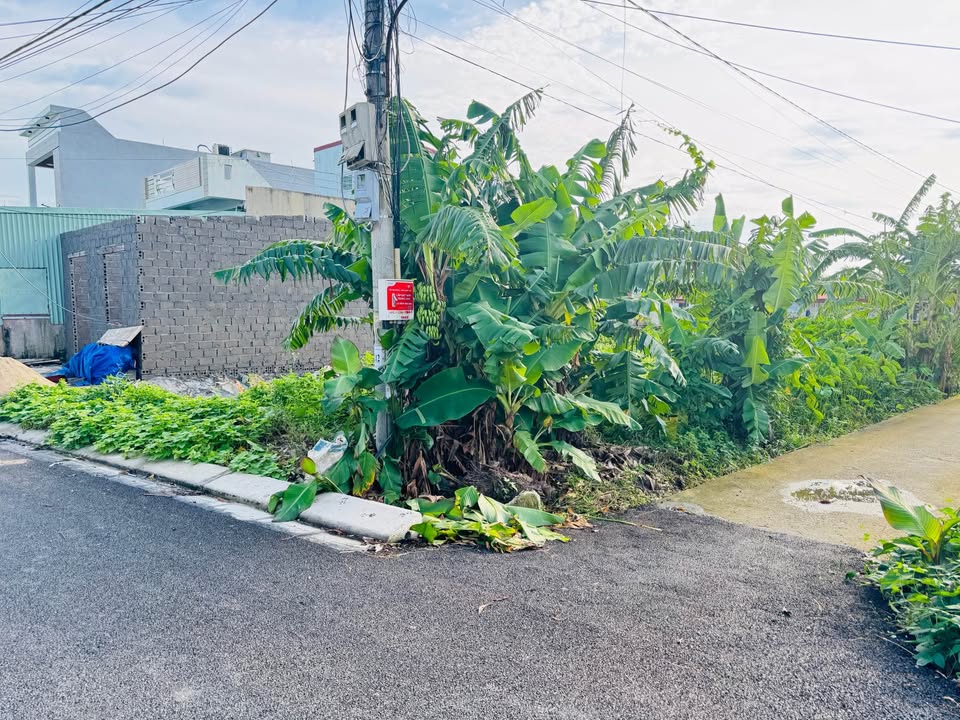 Đất nền chính chủ tại xã Kiến Hải, Hải Phòng 300m² - Giá đầu tư hấp dẫn!