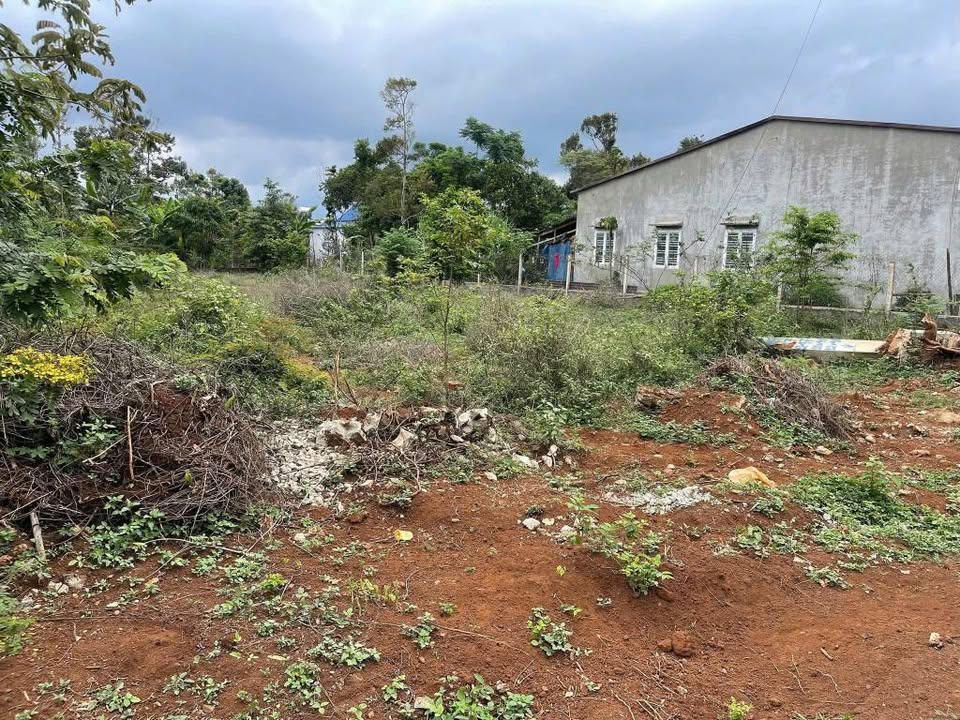 Đất nền Tân An, Krông Pắc 562m² giá chỉ 5.1 tỷ - Sổ đỏ chính chủ