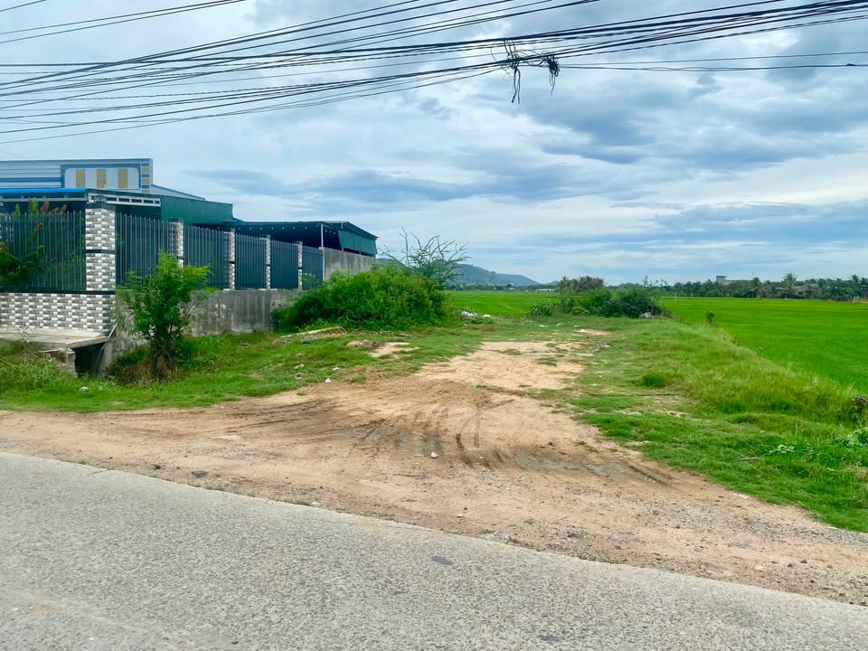 Đất thổ cư Đường Đổng Dậu, Thành Hải 170m² giá 1.39 tỷ - Đầu tư sinh lời!