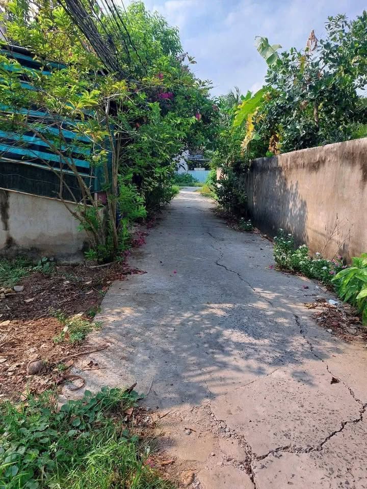 Đất nền Bến Tre 85m² giá 350 triệu - Đường ô tô vào tận nơi!