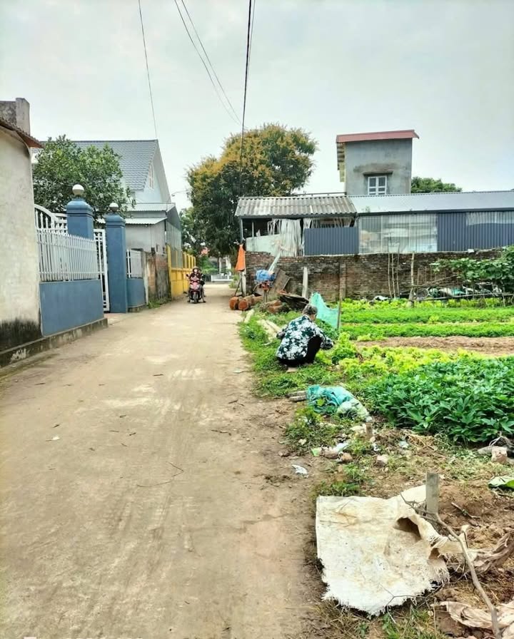 Đất nền Đông Châu, Quỳnh Ngọc, 103m² chỉ 600 triệu - Cơ hội đầu tư tuyệt vời!