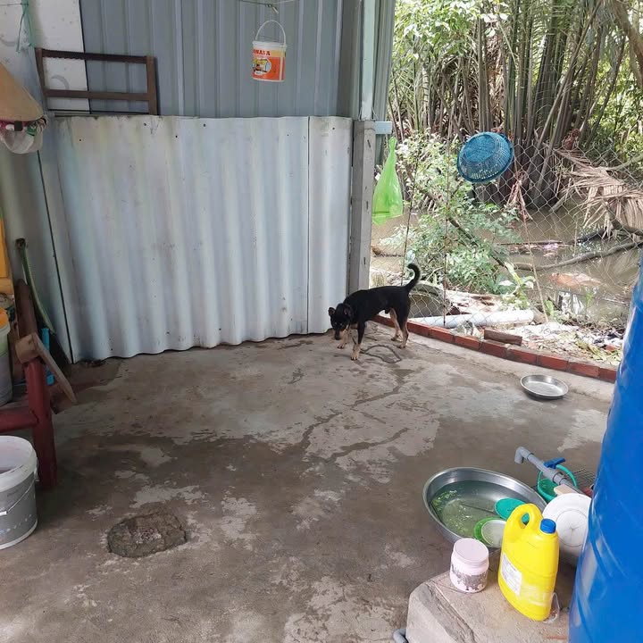 Nhà cấp bốn tại Lê Hữu Nghĩa, Tân An 163m² giá 1.55 tỷ - Chính chủ bán gấp!