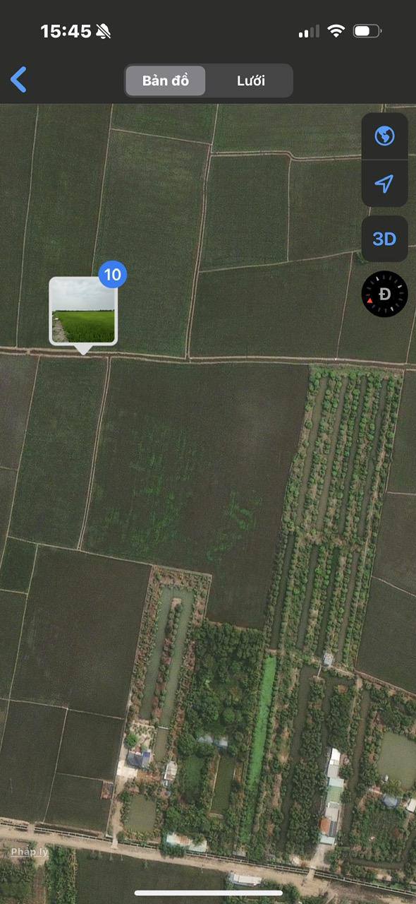 Đất Farm 14,5 công tại Phường Châu Đốc - Tiềm năng kinh doanh lớn!