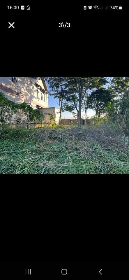 Lô đất mặt tiền Nguyễn Tri Phương 131m² giá 3.3 tỷ - Thương lượng nhẹ!