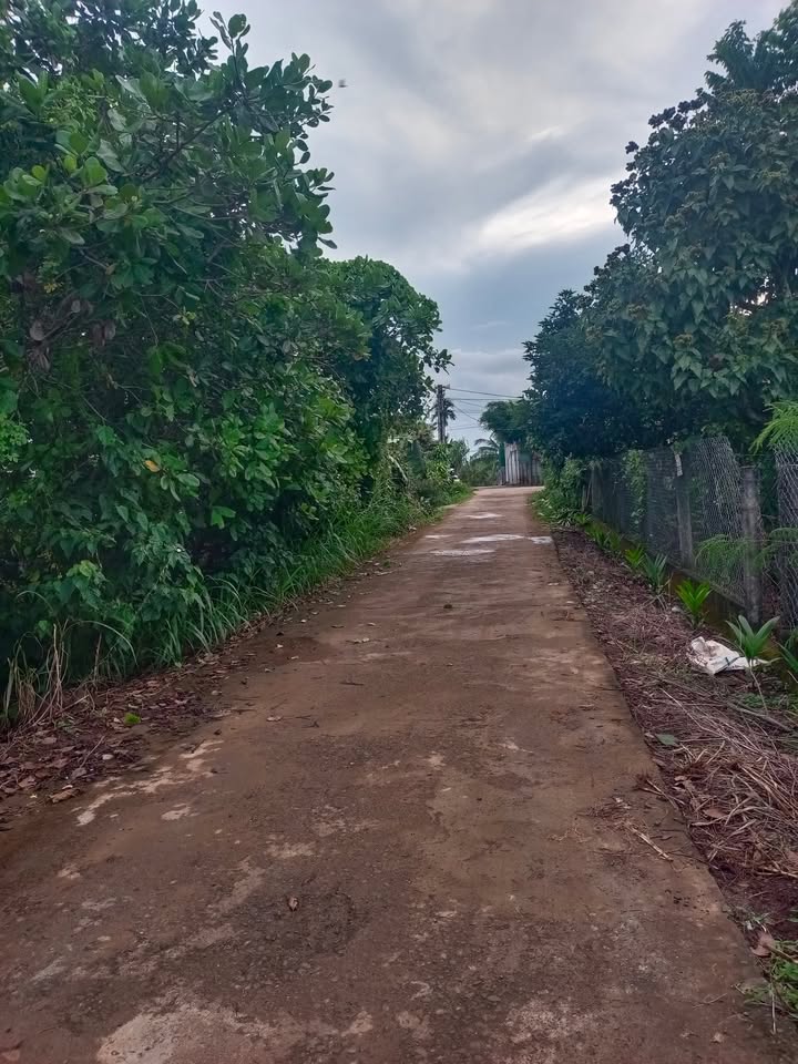 Đất thổ cư thôn 3 Ea Kao 150m² giá 735 triệu - Sổ đỏ chính chủ, bớt lộc!