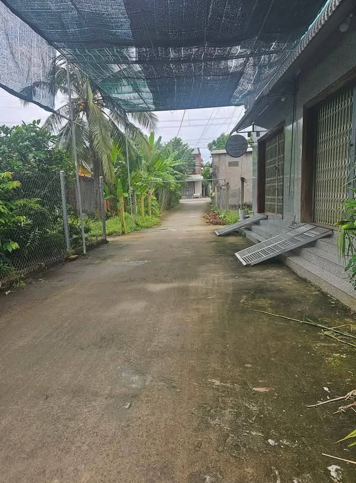 Đất nền mặt tiền 84m² Phường 1, Cai Lậy - Giá chỉ 1.2 tỷ, cơ hội đầu tư tốt!