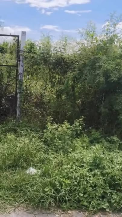 Đất mặt tiền đường nhựa Tân Thông Hội 2171m² giá chỉ 11.5 tỷ - Cơ hội đầu tư không thể bỏ lỡ!