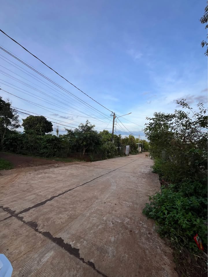 Lô đất Bùi Dự, Pleiku 208m² giá 1.09 tỷ - Đầu tư sinh lời ngay!