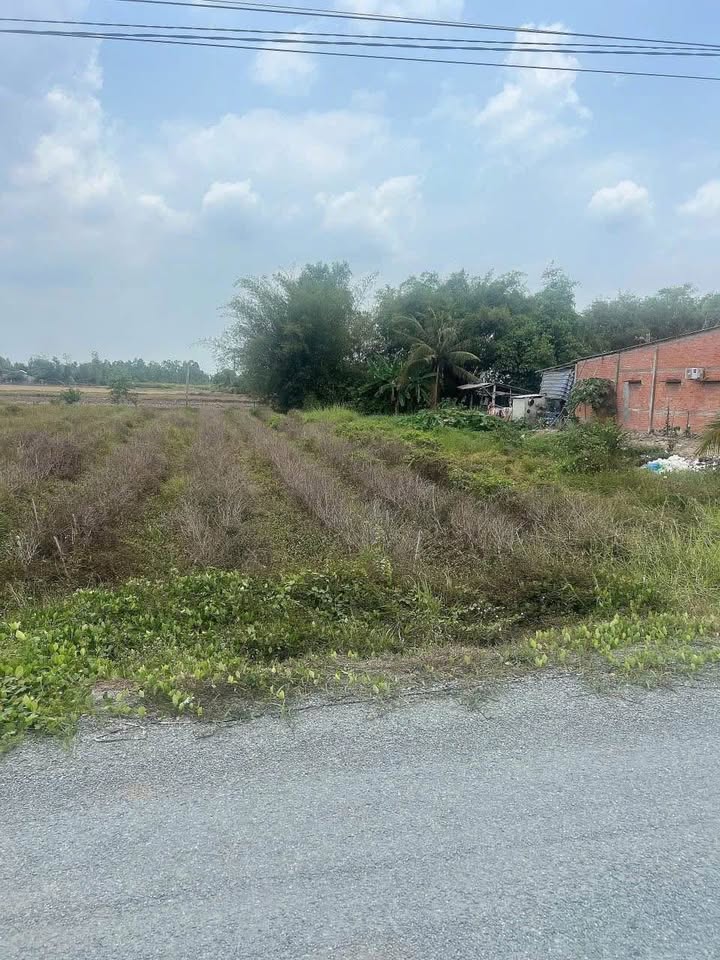 Đất nền khu phố 4, Mỹ Thạnh Đông, 390m² - Sổ hồng chính chủ, giá chỉ 1 tỷ!