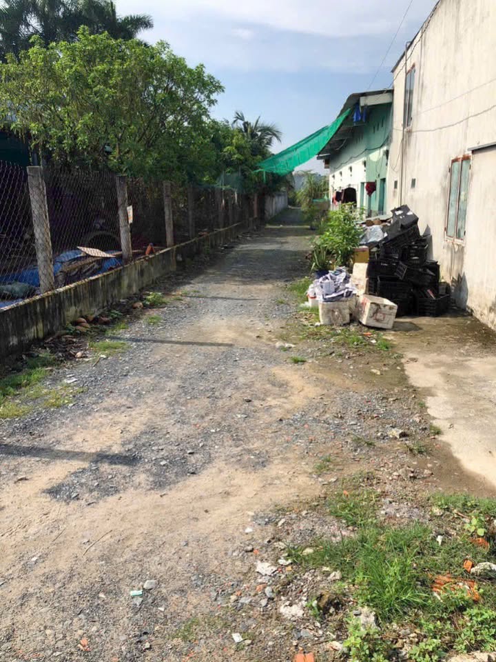 Đất nền khu phố Bình Tiền 1, Đức Hòa, Long An 115m² - Đầu tư sinh lời hấp dẫn!