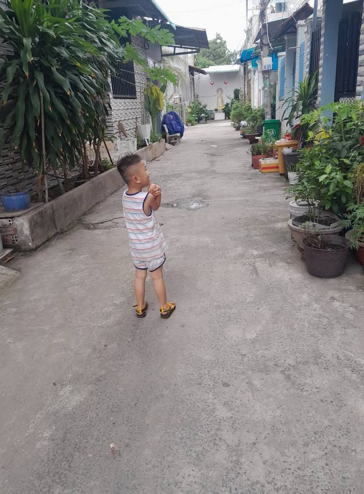 Nhà nguyên căn Bình Chánh 32m² giá 2.25 tỷ - Chính chủ, hẻm xe hơi rộng rãi!