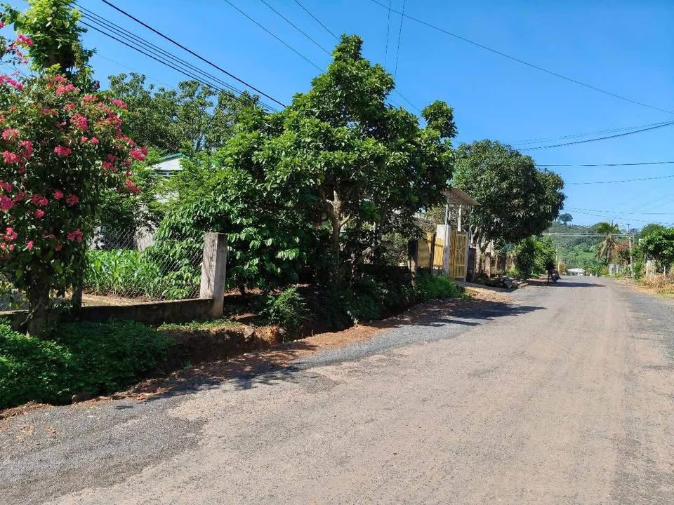 Đất nền đường Sơn Thọ, Hòa Thắng, 343m² giá 3.15 tỷ - Đầu tư sinh lời ngay!