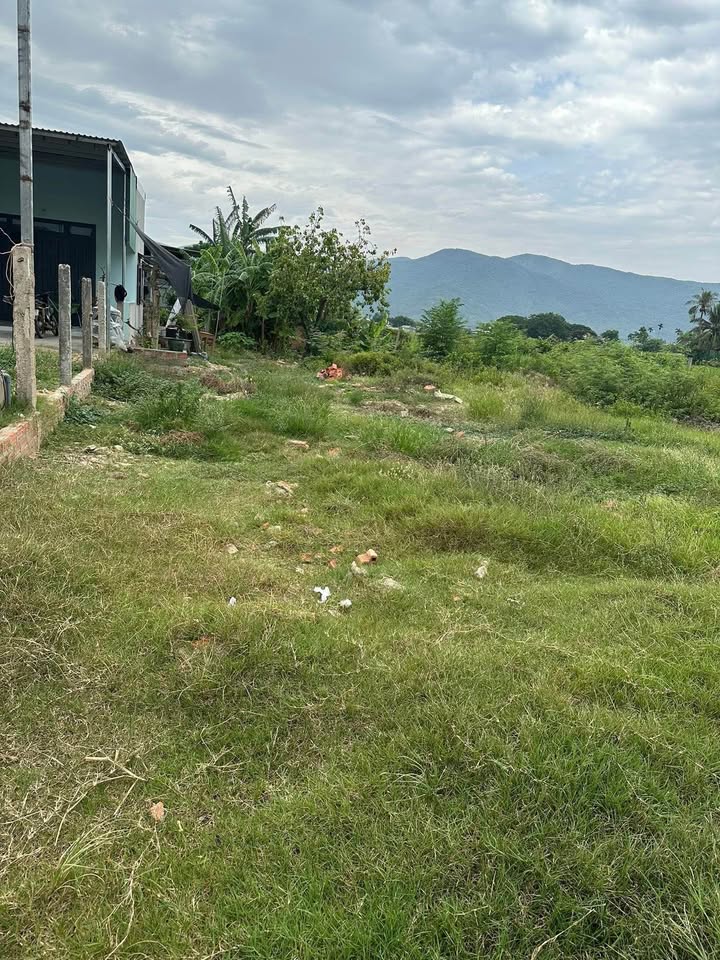 Đất nền Cát Thắng, Phù Cát 125m² giá chỉ 3xx triệu - Cơ hội đầu tư tuyệt vời!