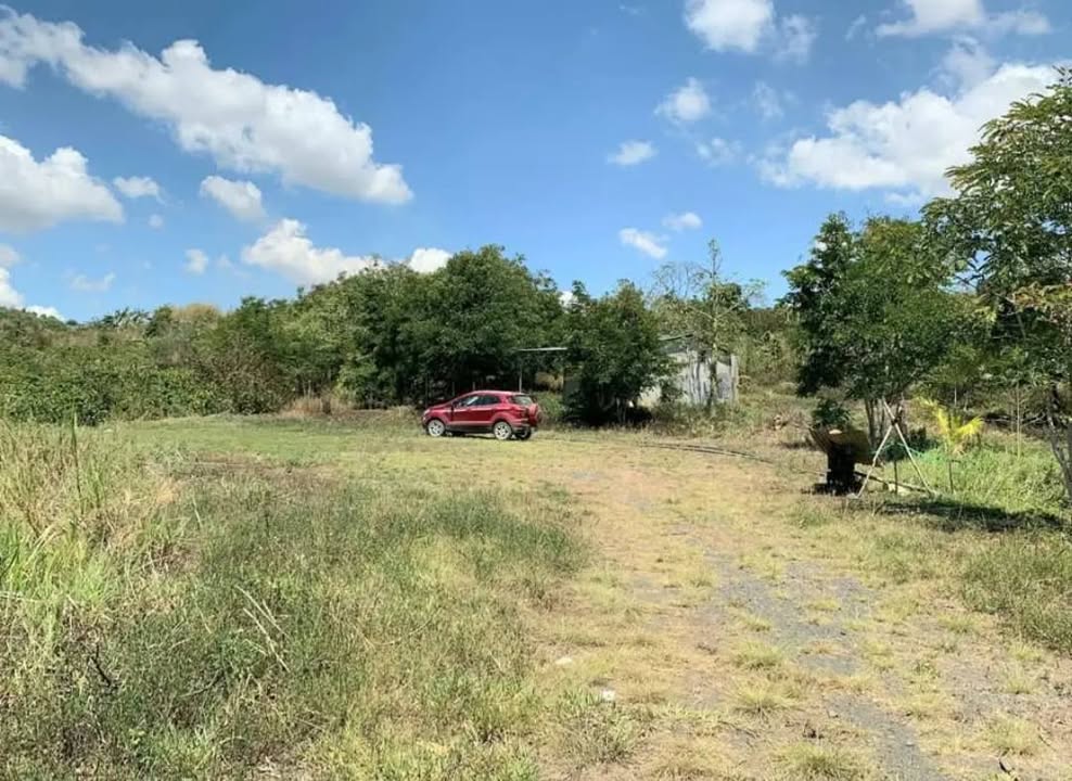 Đất Ninh Gia, Đức Trọng 32.000m² giá 16 tỷ - Đầu tư sinh lời tiềm năng!