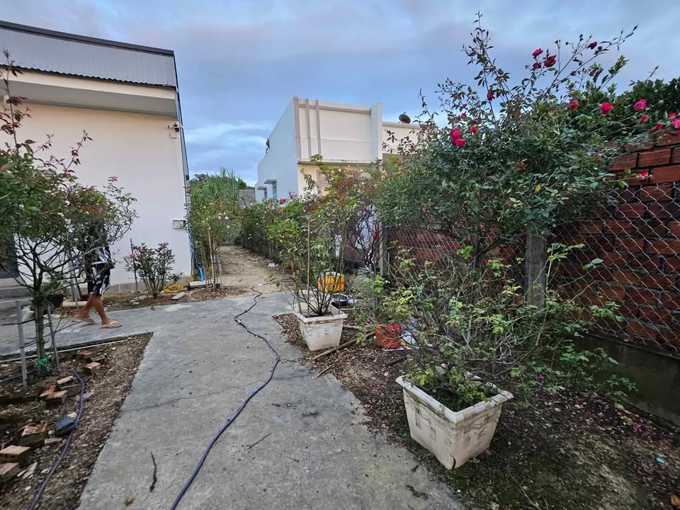 Nhà cấp 4 và đất sổ đỏ 250m² tại Lạc Xuân - Giá chỉ 2,5 tỷ!