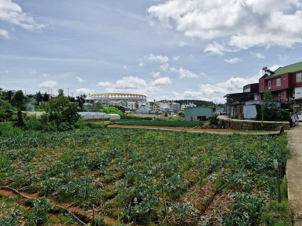 Đất nông nghiệp Đà Lạt 1.400m² giá 8.5 tỷ - Nhanh tay kẻo lỡ!