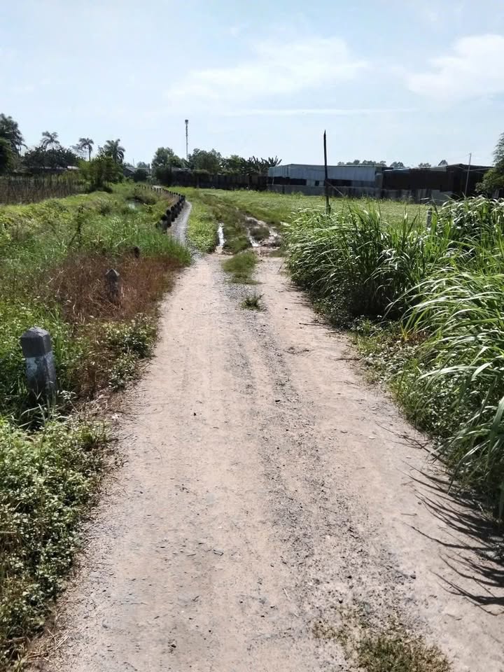 Đất vườn xã Hòa Phú, Củ Chi 890m² giá 950 triệu - Mặt tiền kênh, bớt lộc