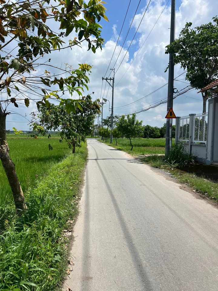 Nhà cấp 4 356m² tại Củ Chi giá 3.6 tỷ - Gần chợ và trường học!