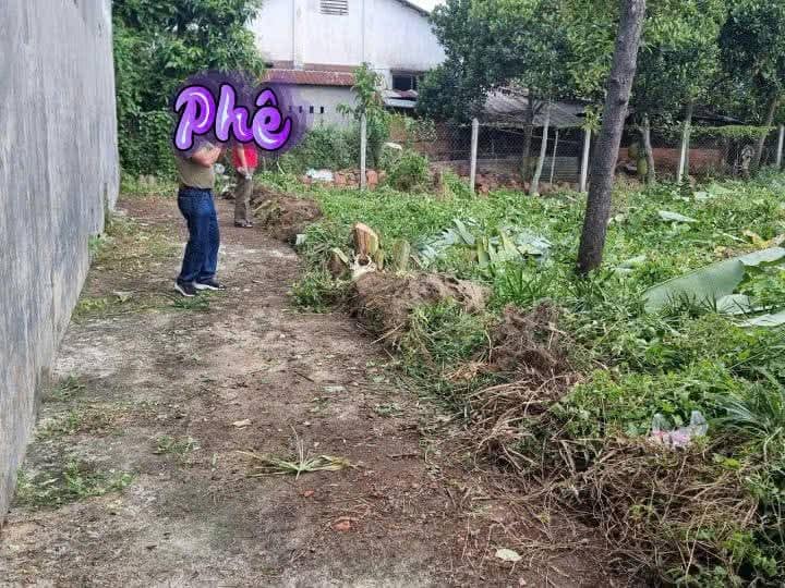 Đất nền phường Hưng Định 293m² giá 3.6 tỷ - Sổ đỏ chính chủ, vị trí đẹp!