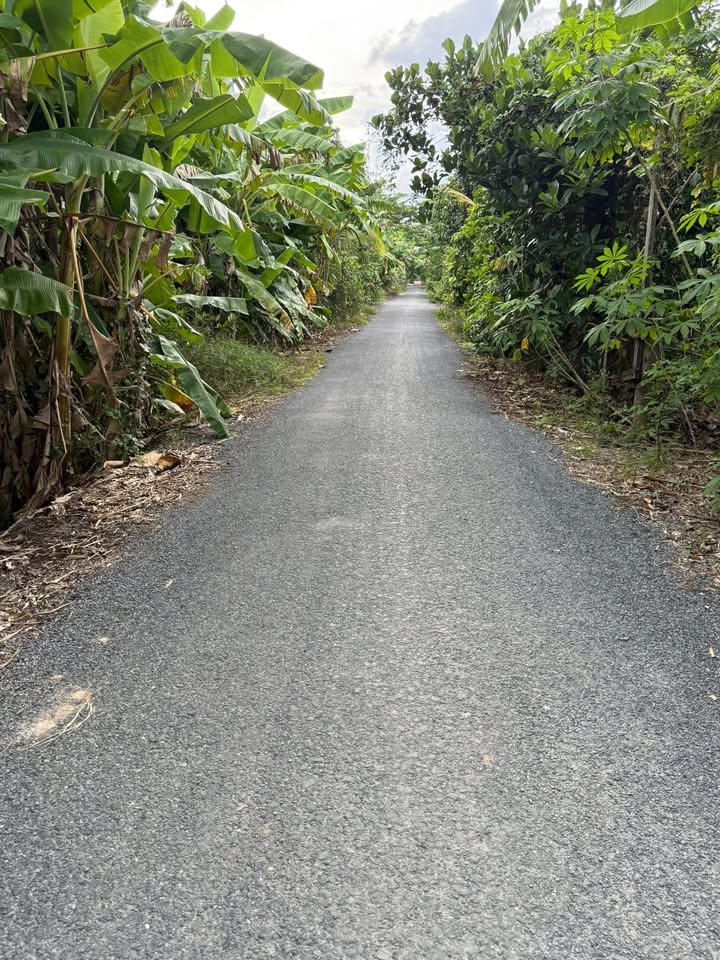 Đất nền xã Hậu Mỹ Bắc A 600m² giá 1.2 tỷ - Gần chợ và tiện ích