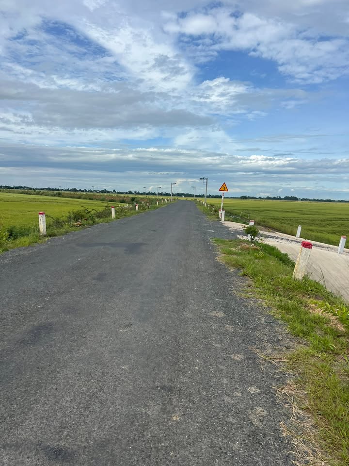 Đất nông nghiệp 17.000m² tại xã Bình Phú, huyện Tân Hồng - Giá chỉ 2.38 tỷ VND