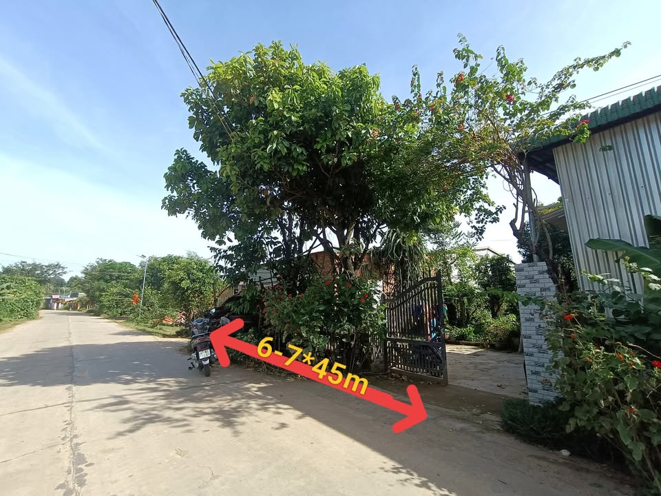 Đất nền Đắk Liêng 270m² giá chỉ 1xx triệu - Mặt tiền đường chính kinh doanh thuận lợi!