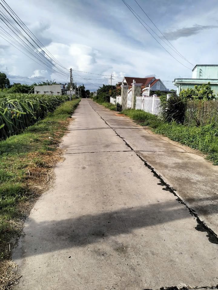 Đất Cây Trồng Lâu Năm Thôn 6, Xã Hàm Đức, Huyện Hàm Thuận Bắc, Bình Thuận - Diện tích 1875m², Giá chỉ 840 triệu!