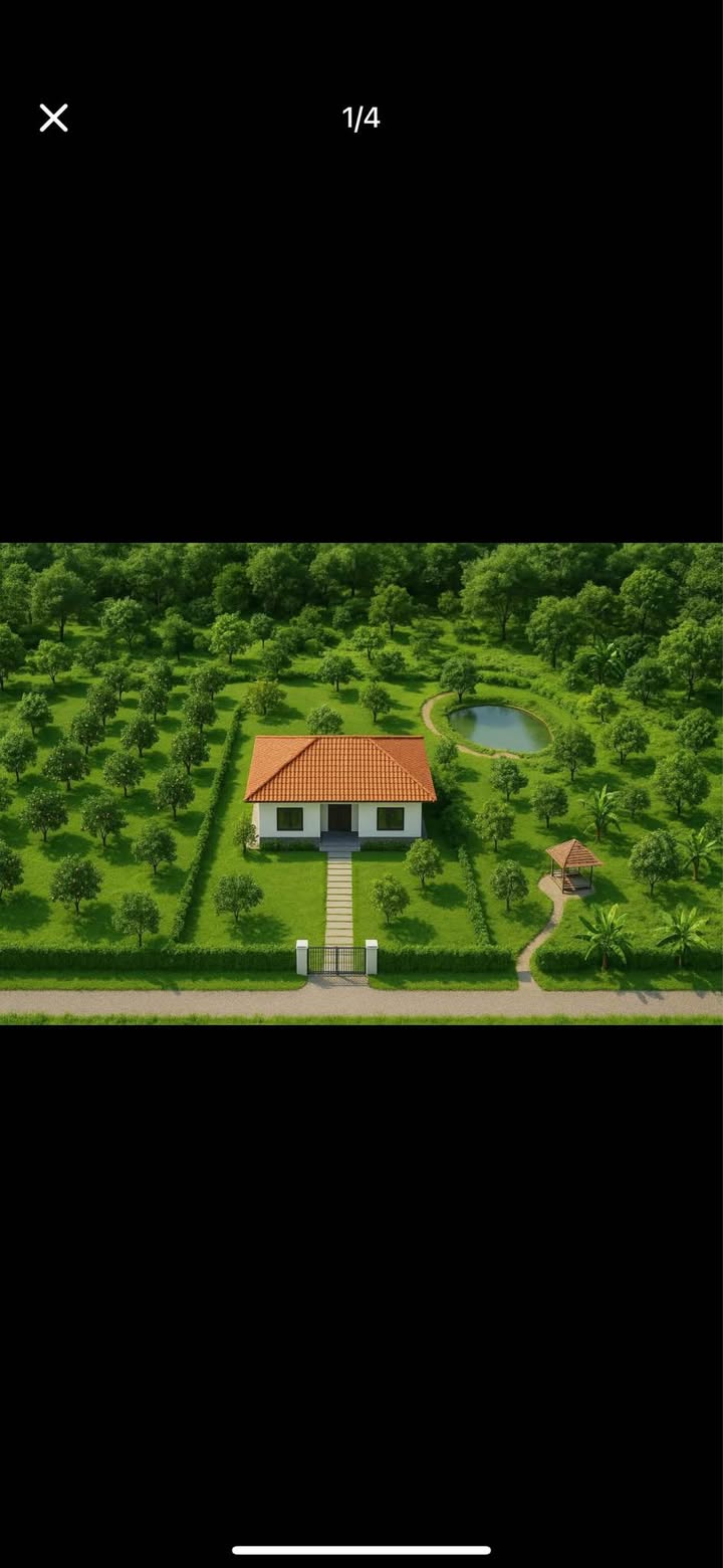 Đất nông nghiệp 5ha tại Tiến Thành, Phan Thiết - Giá chỉ 4.5 tỷ VND, thương lượng ngay!