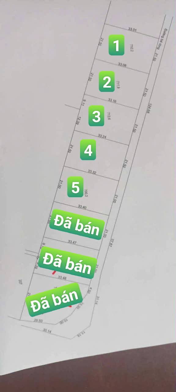 Đất nền Tân Lược, Bình Tân 700m² chỉ từ 300 triệu - Cơ hội đầu tư vàng!