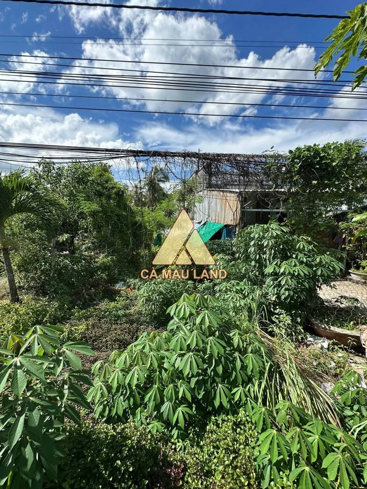 Đất nền đường Lâm Thành Mậu Cà Mau 285m² giá 1.2 tỷ - Đầu tư sinh lời tuyệt vời!