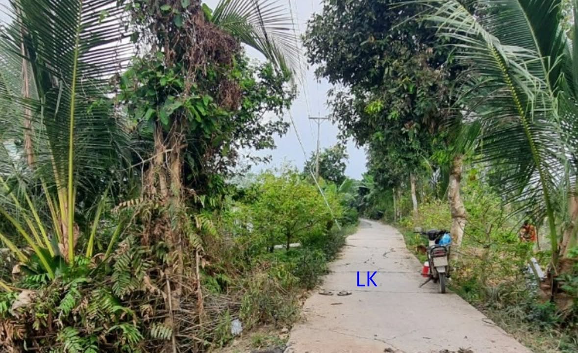 Đất nền 171m² tại Bình Hàng Trung, Đồng Tháp - Giá chỉ 300 triệu!