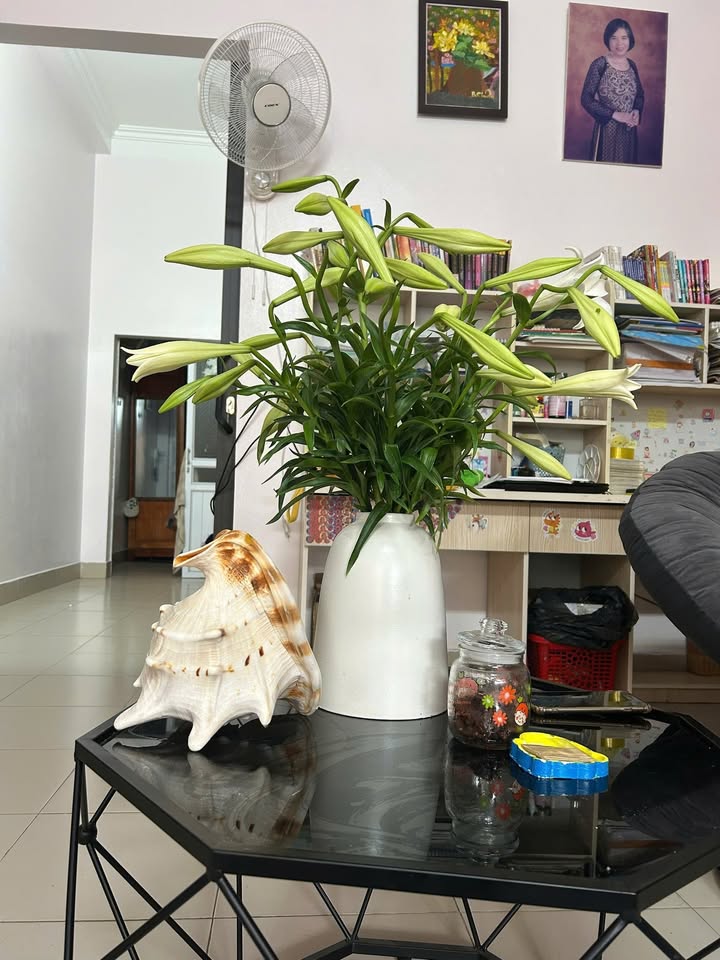 Nhà cho thuê tại Thôn Đại Lai 2, xã Phú Xuân - Đầy đủ tiện nghi, chỉ 3 triệu/tháng!