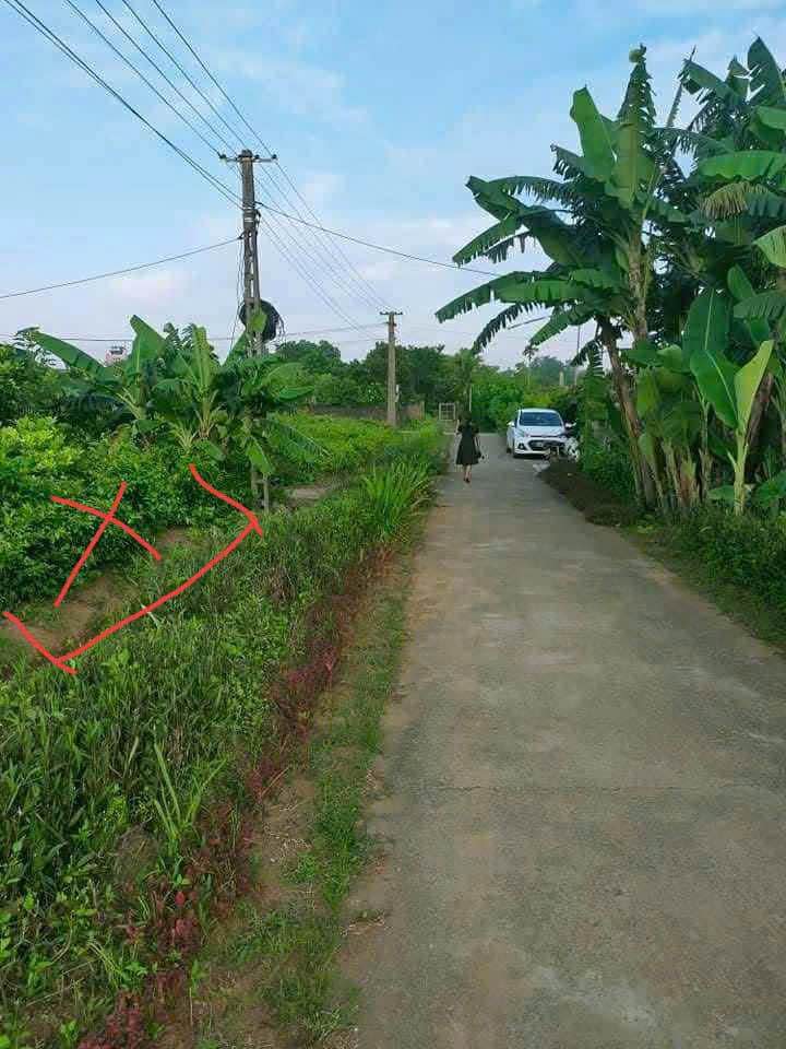 Đất thổ cư Ngọc Lương, Yên Thủy 112m² - Sổ hồng chính chủ, công chứng nhanh chóng!