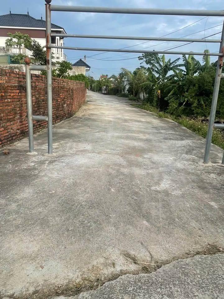 Đất nền Thụy Quỳnh Thái Thụy 196m² giá 1 tỷ - Lô góc tiềm năng đầu tư!