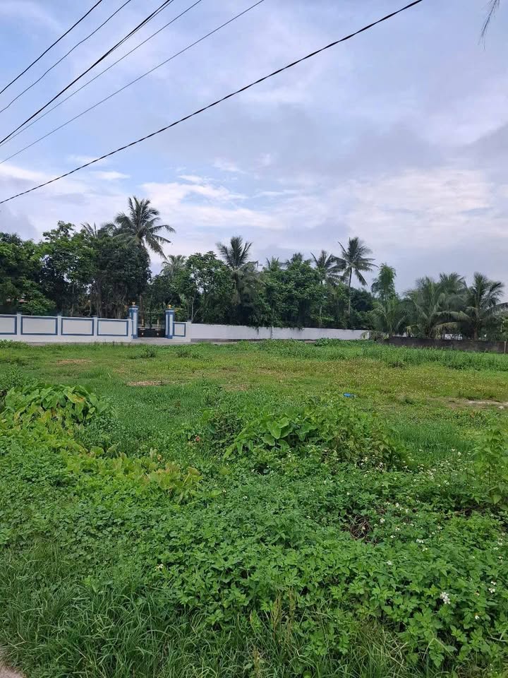 Đất nền xã Quảng Long 110m² giá chỉ 450 triệu - Đường ô tô thông thoáng!