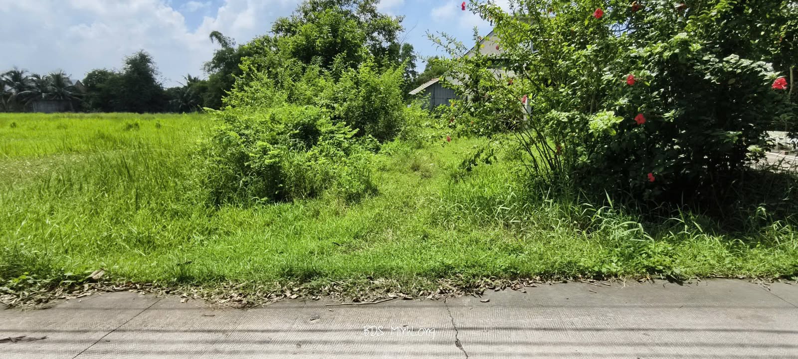 Đất nền Đức Hòa 825m² giá 4.6 tỷ - Đầu tư sinh lợi ngay hôm nay!