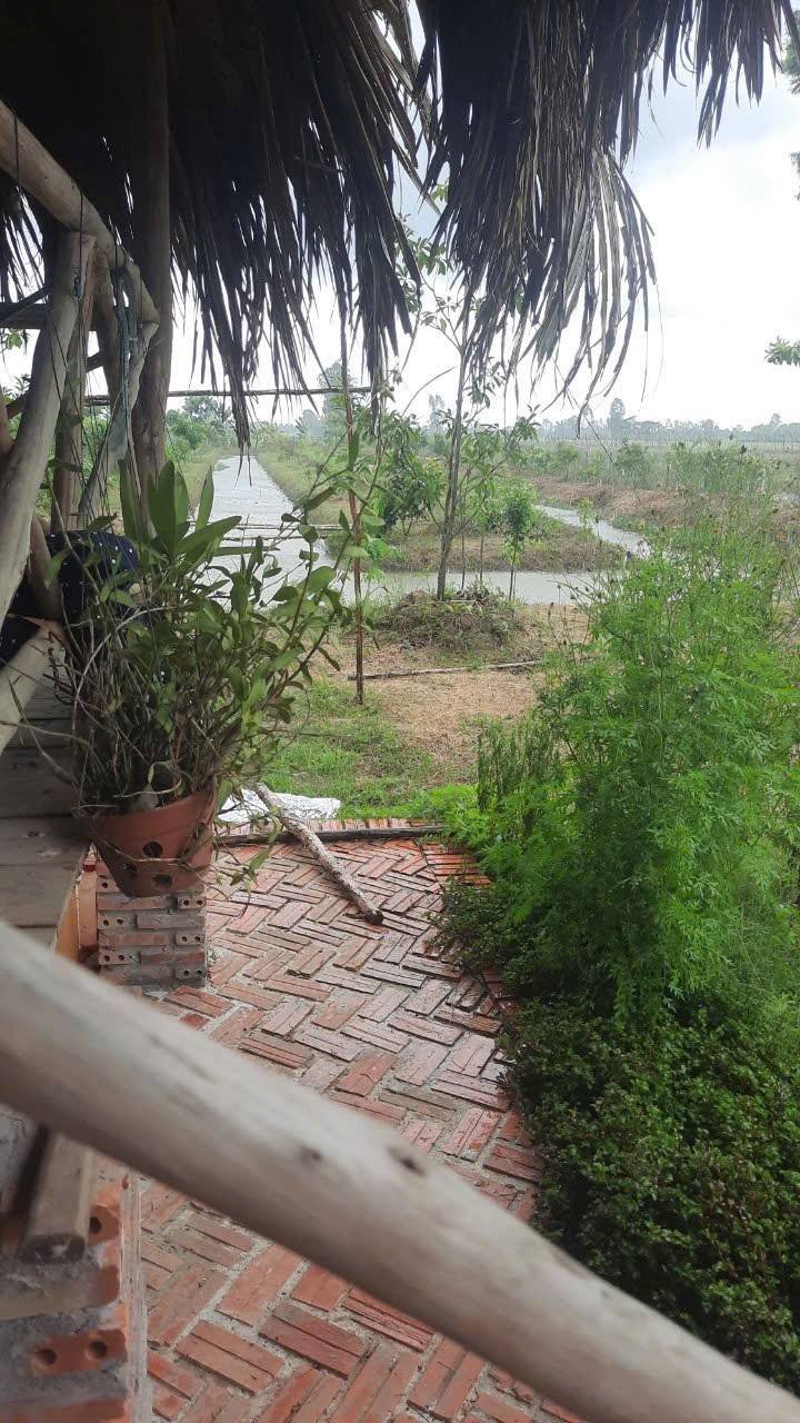 Đất vườn Thoại Sơn, An Giang 2,136m² giá 1.5 tỷ - Mặt tiền đường nhựa, điện nước đầy đủ!