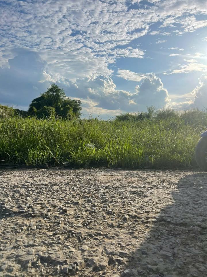 Đất đẹp Tăng Hòa Gò Công Đông 312m² - Sổ hồng chính chủ, giá thương lượng!