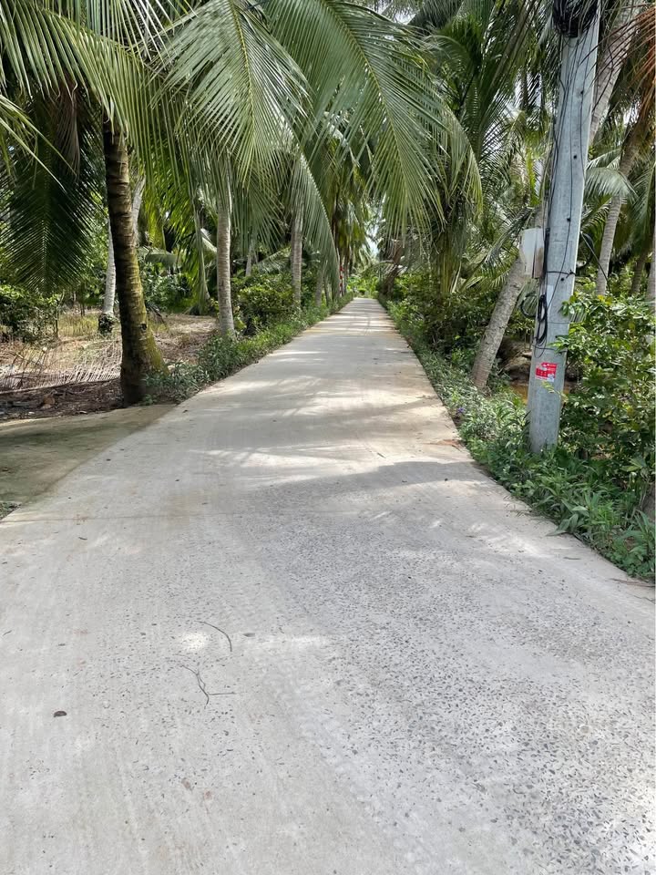 Đất thổ cư 300m², xã Tân Thới, Tiền Giang - Giá 1.75 tỷ, thương lượng chính chủ!