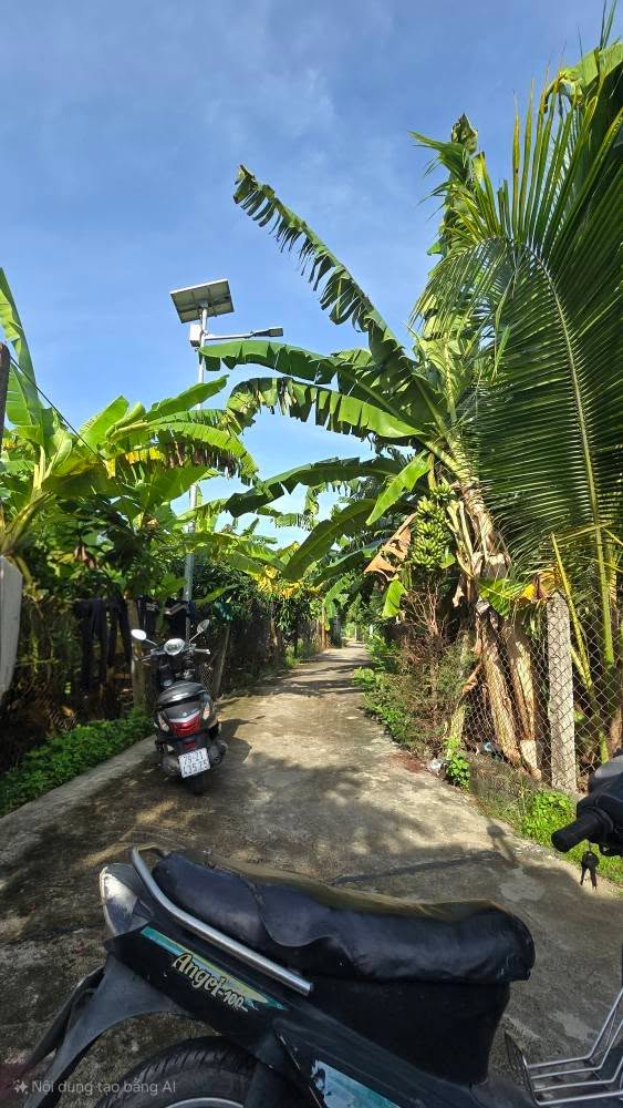 Đất vườn Suối Cát Cam Lâm 1500m² giá 2.1 tỷ - Thế đất cao ráo, đẹp đẽ!