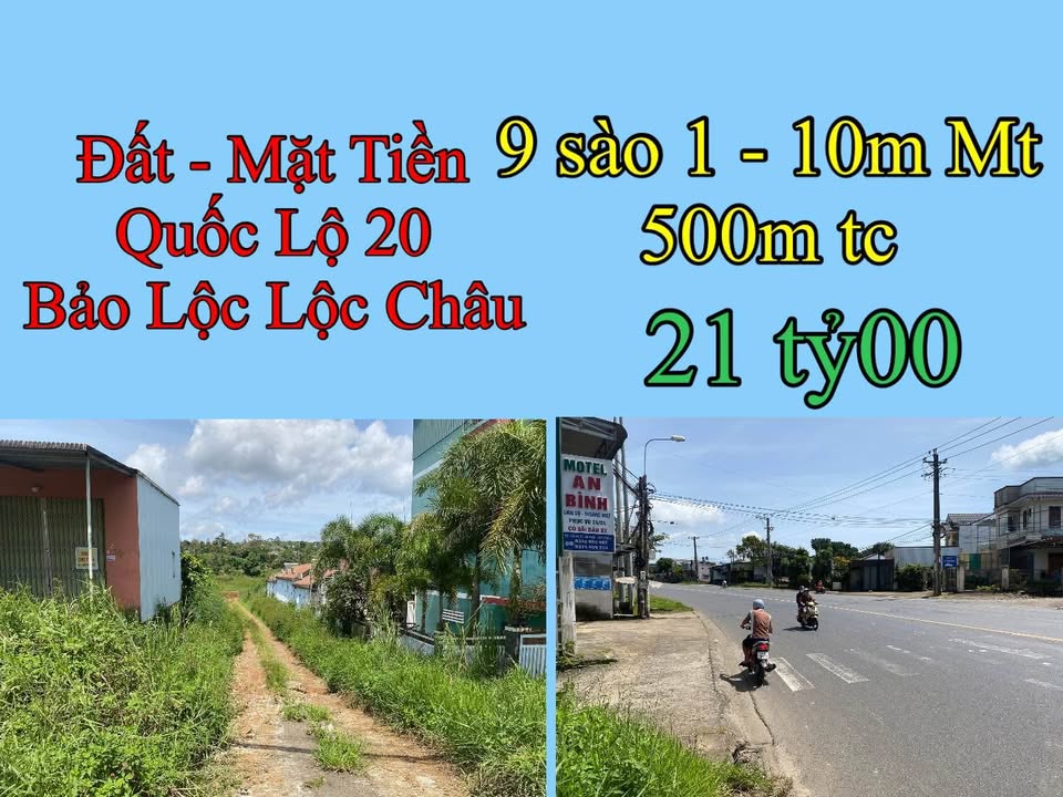 Đất nền Farm Quốc Lộ 20, Lộc Châu, Bảo Lộc 9100m² giá 21 tỷ - Đầu tư sinh lời lý tưởng!