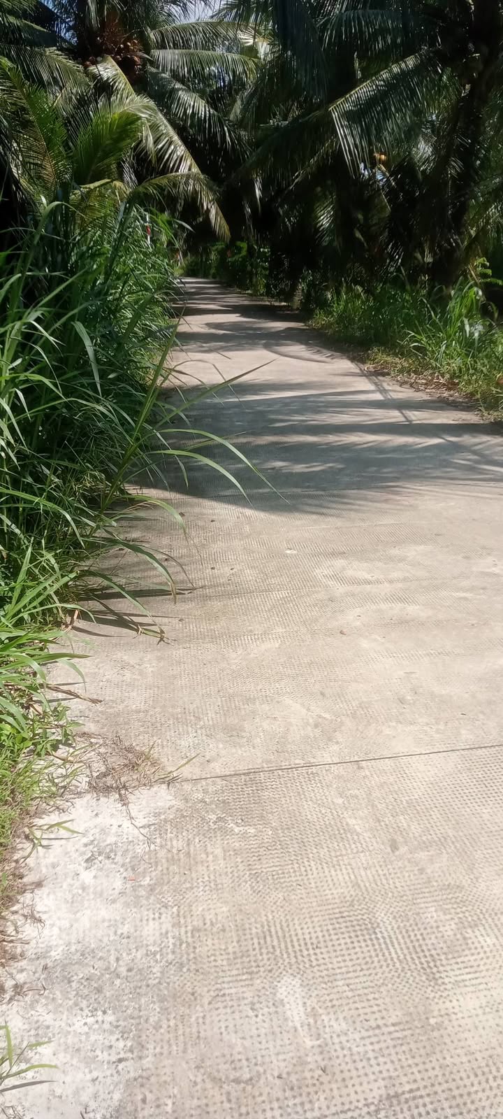 Đất mặt tiền xã Quới Điền, huyện Thạnh Phú, 1000m² giá 600 triệu - Cơ hội đầu tư hấp dẫn!