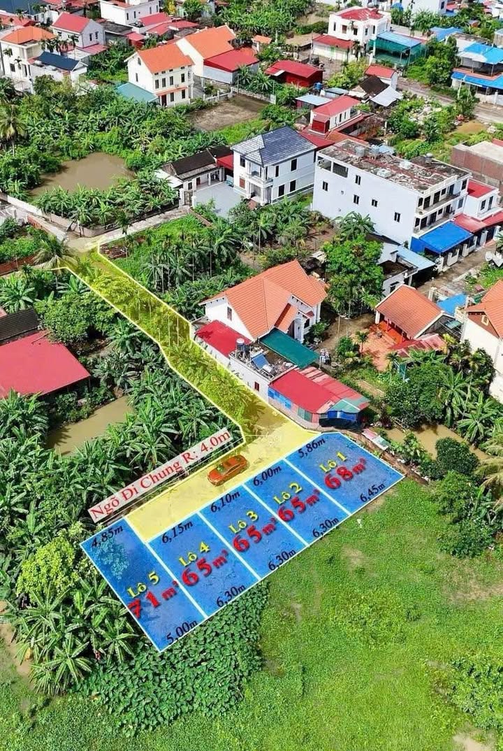 Đất nền Hoa Động, Thủy Nguyên 65m² & 71m² giá 1.4 tỷ - Cơ hội đầu tư tuyệt vời!