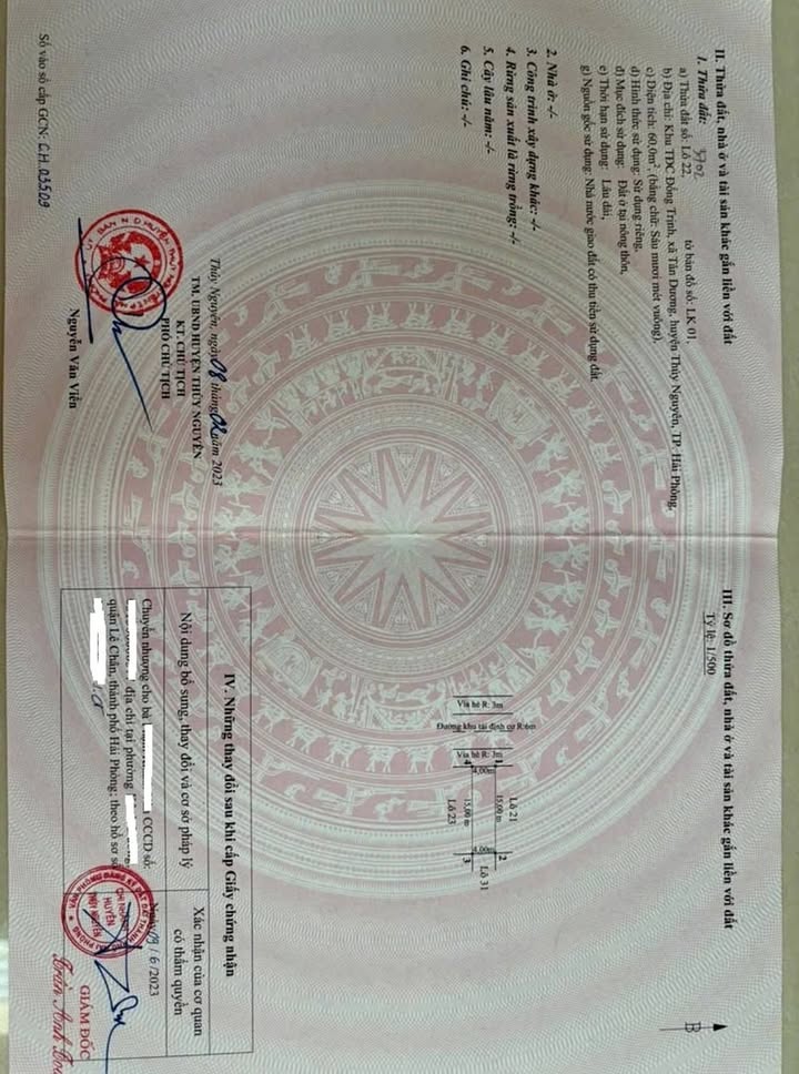 Đất nền TDC Đống Trịnh Tân Dương 60m² giá 3 tỷ - Khu vực phát triển sôi động!