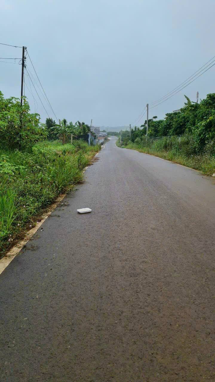 Đất nền Bảo Lộc 168m² giá 1,4 tỷ - Mặt tiền đường lớn, xây biệt thự lý tưởng!