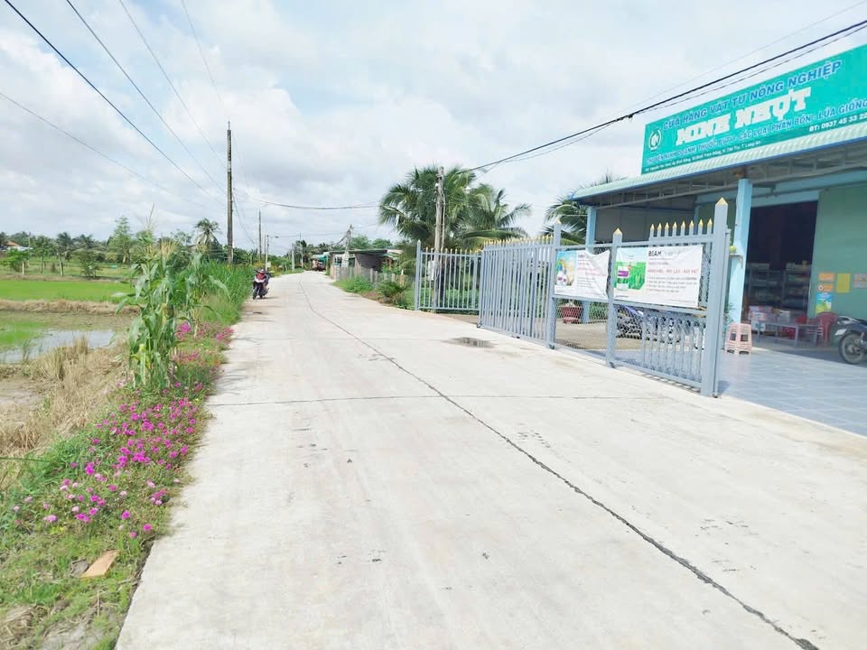 Đất lúa 1000m² mặt tiền Nguyễn Văn Vịnh - Giá chỉ 1.4 tỷ, thương lượng!