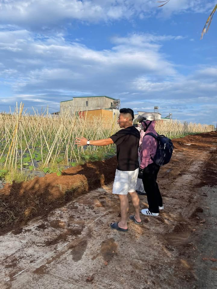 Đất thổ cư Liên Hiệp - Đức Trọng 100m² chỉ 950 triệu - Cơ hội đầu tư tuyệt vời!